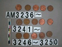 藏品(美國1分硬幣)的圖片